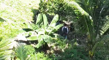 Corpo é encontrado em cova rasa na Grota do Pau D’Arco