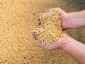 Brasil quer cota para exportar derivados de soja à China