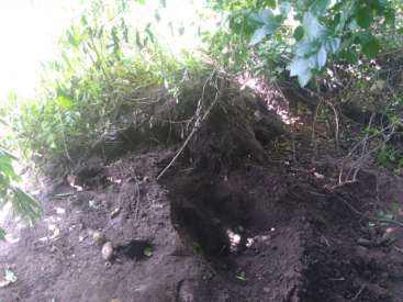 Família recebe ligação anônima e encontra corpo de desaparecido em cova rasa