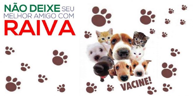 Campanha de Vacinação contra a Raiva começa neste sábado (1), em Palmeira