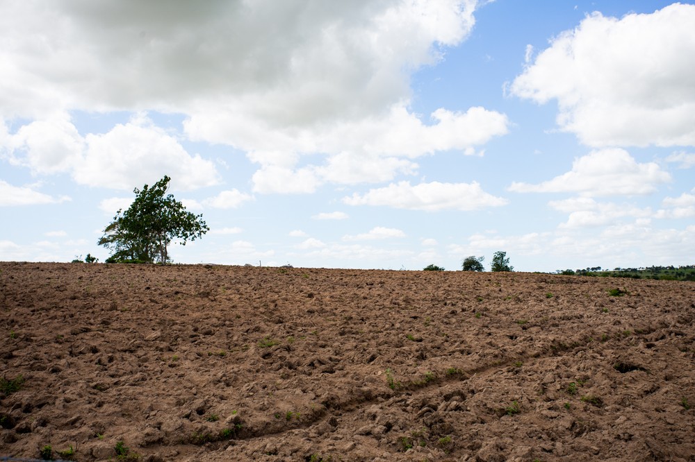 União reconhece situação de emergência em 38 municípios de AL