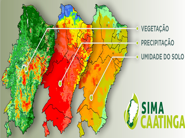 Monitoramento feito pela Ufal mostra que Sertão já enfrenta seca grave