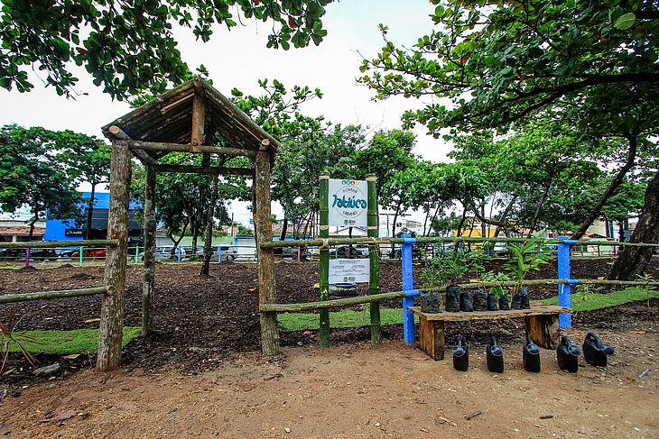 Hortas e pomares urbanos minimizam pontos de lixo em Maceió