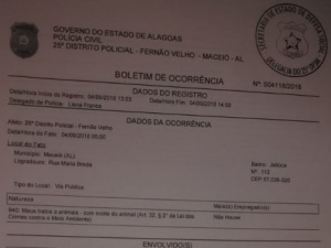 Moradores da Jatiúca denunciam matança de gatos por envenenamento