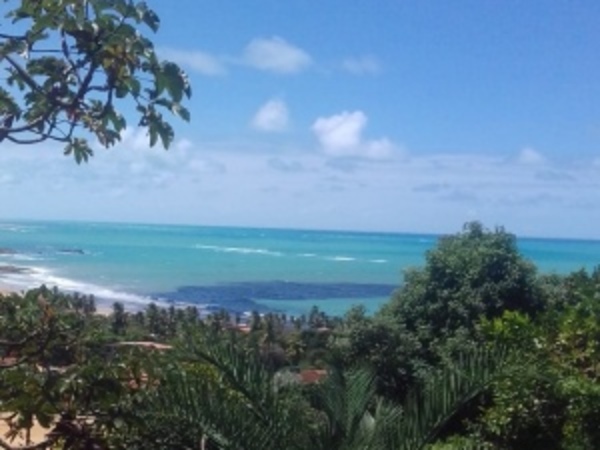 Mancha escura no mar intriga comunidade de Riacho Doce, em Maceió