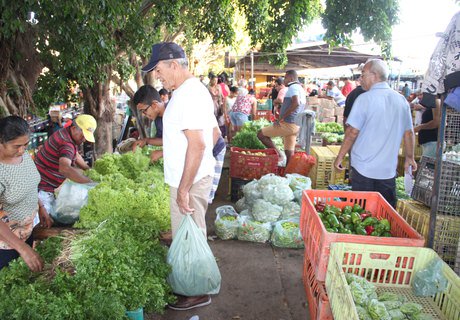 Feiras livres de Arapiraca serão antecipadas devido eleições