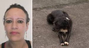 Ao esperar Regina em ponte, cão de rua sinalizou onde estava seu corpo