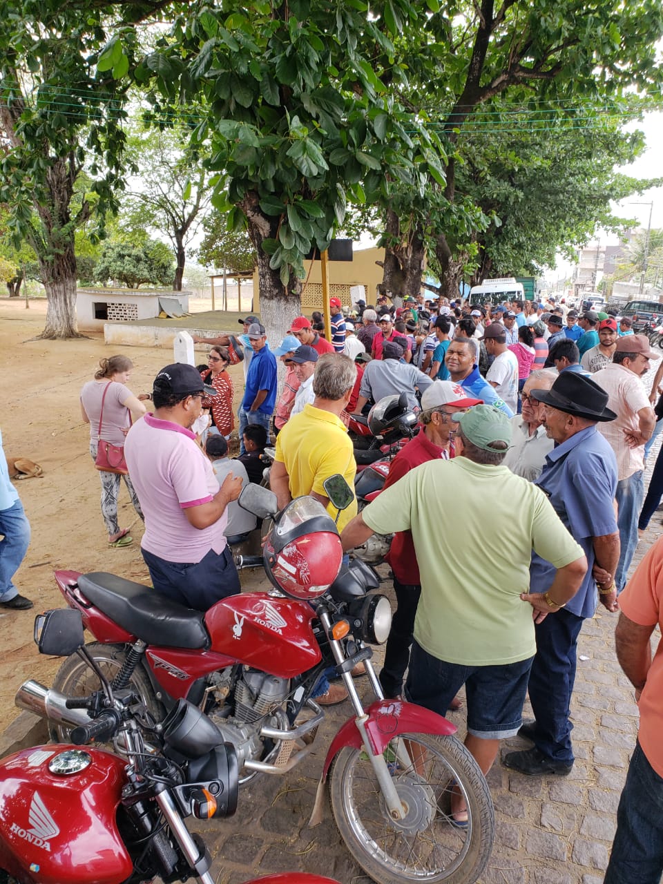 Agricultores reclamam da dificuldade para comprar milho na Conab em Palmeira dos Índios