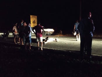 Mulher morre após colisão entre motocicleta e carreta na BR-104