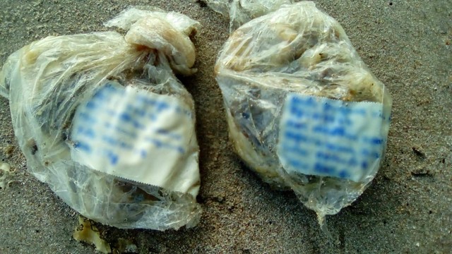 Banhista encontra pacote que pode ser de restos de mama boiando no mar da Ponta Verde, Maceió