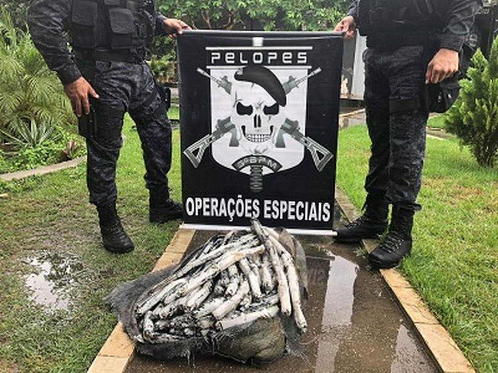 Polícia apreende 50 kg de material explosivo dentro de açude em Arapiraca, AL