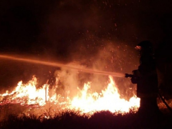 Incêndio atinge vegetação em Penedo