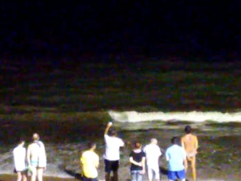 [Vídeos] Tubarões são vistos na orla de Maceió