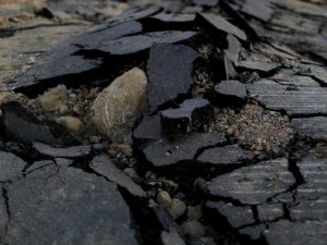 Forte terremoto atinge Nordeste do Japão; há alerta de tsunami