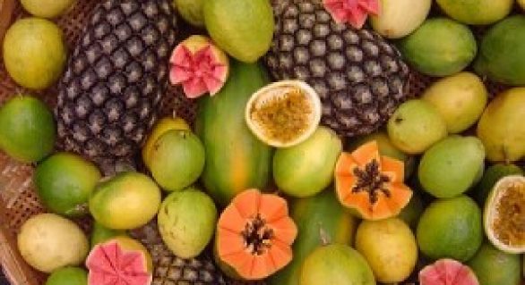 Fábrica de Beneficiamento de Frutas recebe recursos para compra de equipamentos
