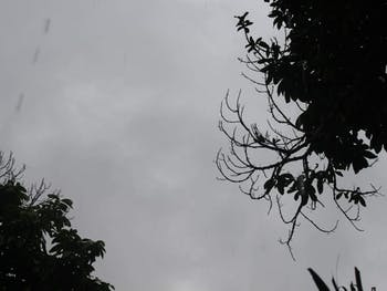 Defesa Civil: tempo em Maceió deve permanecer instável; confira a previsão