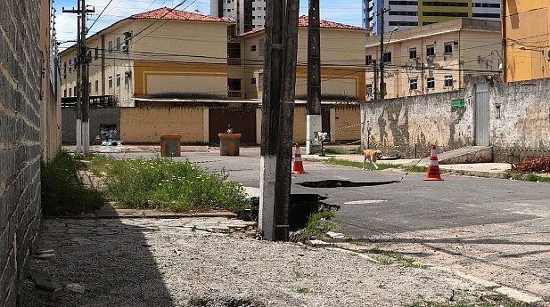 Conselho revela relatos de abandono de animais no Pinheiro