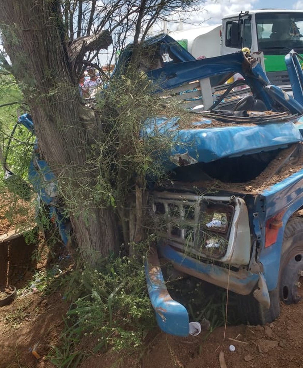 Caminhão bate em árvore e deixa feridos em Major Izidoro, AL