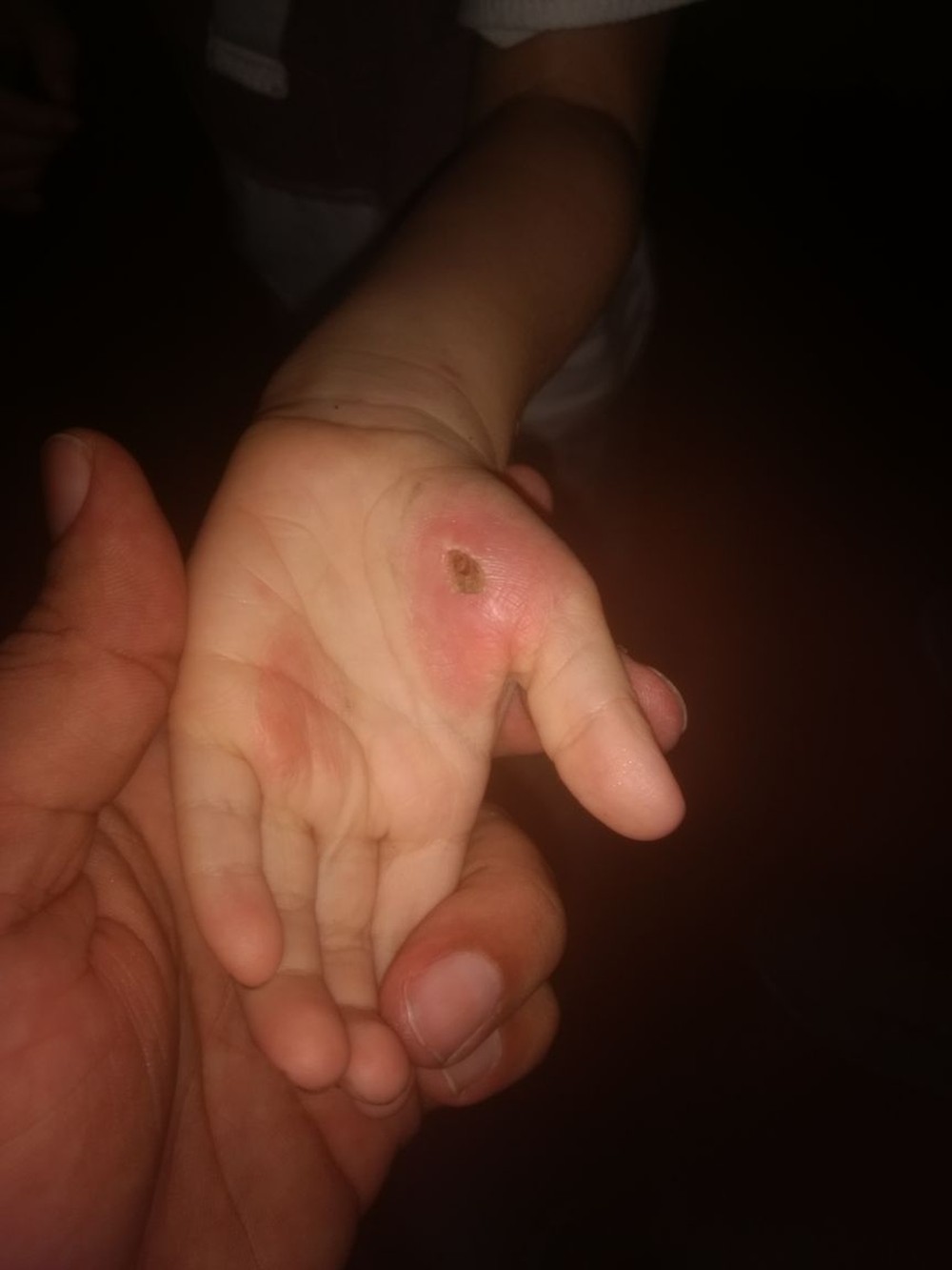 Acusada de maltratar filhos é presa em Viçosa, AL