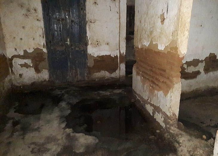 Operação flagra dois abates clandestinos de animais em Arapiraca