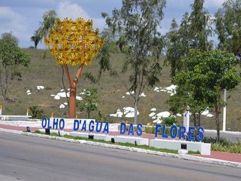 Comerciantes denunciam jovem que usou dinheiro falso para fazer compras em feira