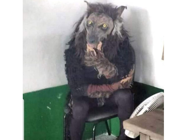 [Vídeo] Suposto ‘lobisomem’ assusta moradores no Sertão