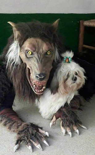 ‘Lobisomem’ que teria sido visto no interior de Alagoas é empresário de SP