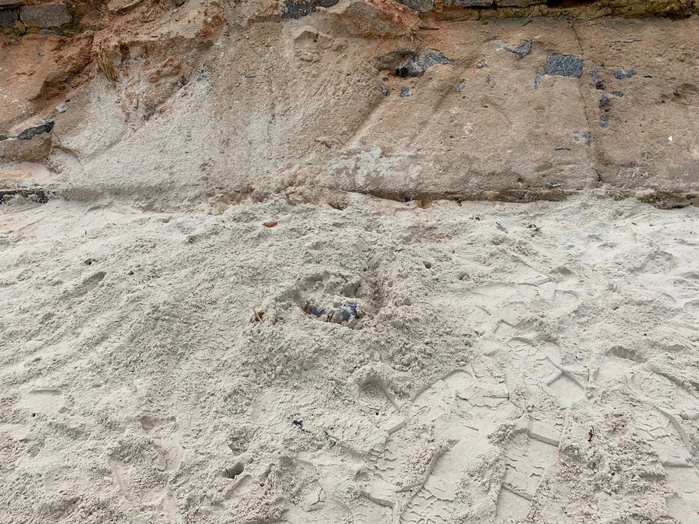 Suspeitos de matar mulher e enterrar corpo no Francês são identificados pela polícia