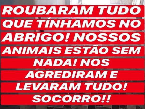 (Vídeo) Polícia descobre fraude em denúncia de assalto a ONG e pede que população suspenda doações