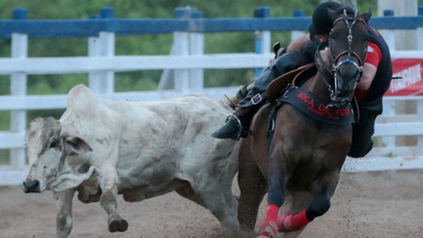Câmara aprova texto-base de projeto que regulamenta a vaquejada