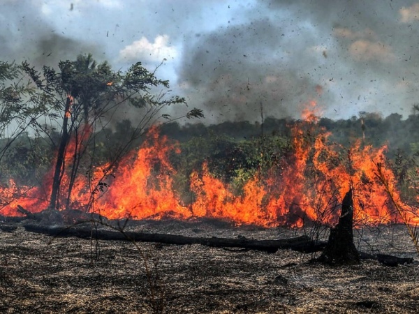 Amazonas bate em agosto recorde mensal de focos de queimadas