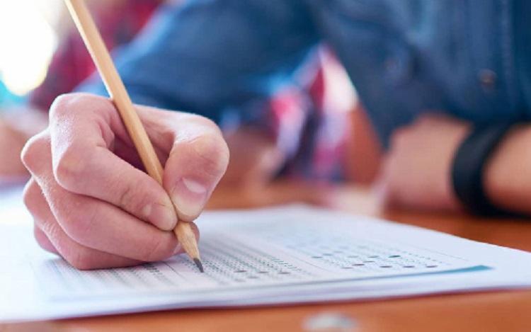 Prefeitura de Palmeira dos Índios lança edital para Concurso Público; Confira