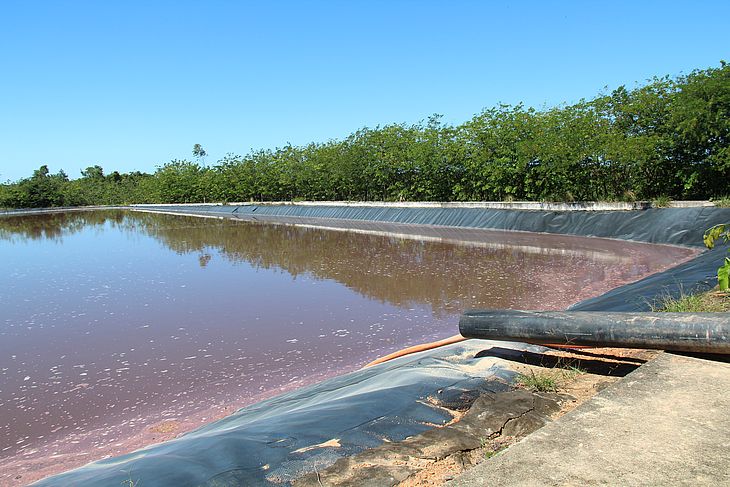 IMA encontra lagoa de chorume com vazamento para área de vegetação nativa em aterro de Maceió