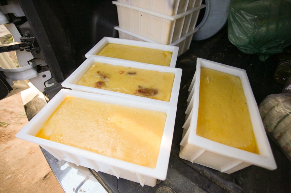 FPI interdita queijarias clandestinas em Major Izidoro e Batalha, Alagoas