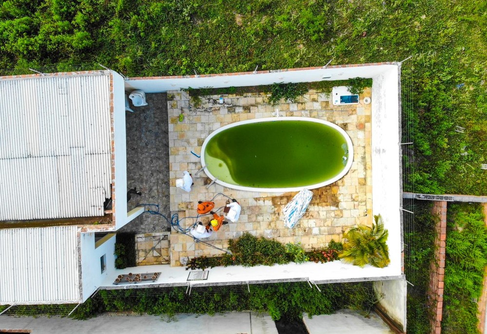 Homem é atacado por abelhas, desaparece e corpo é encontrado em piscina em Santana do Ipanema, AL