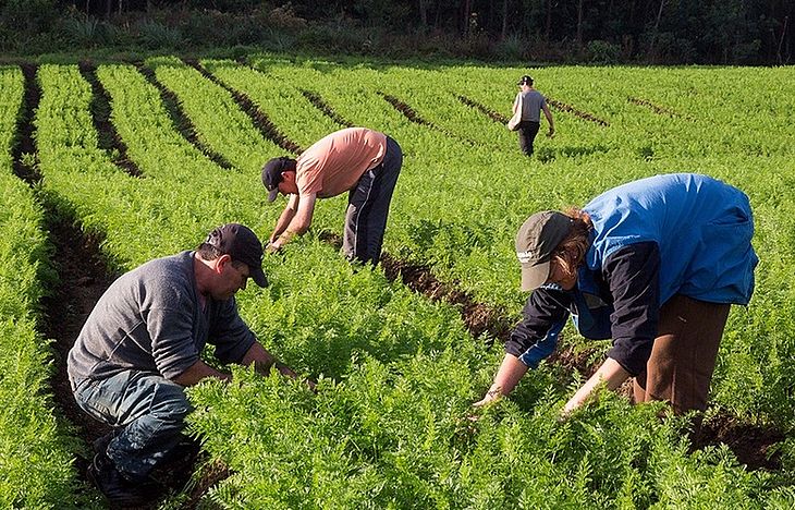 AgroNordeste pretende impulsionar desenvolvimento rural de 30 territórios até 2021