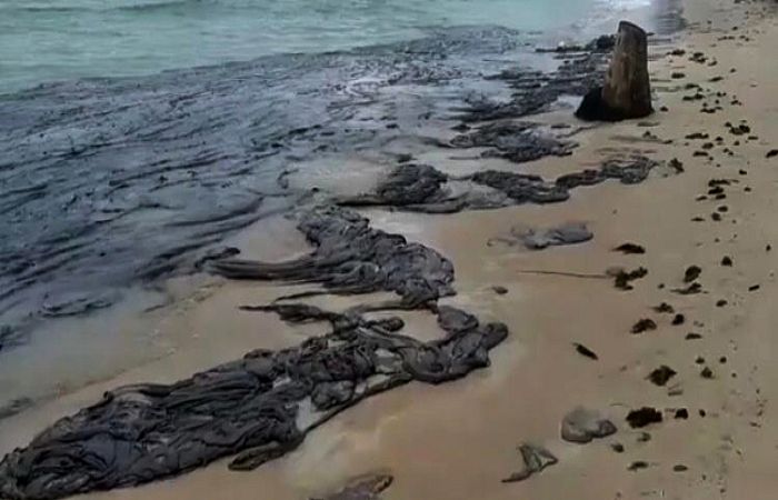 Navio com capacidade para retirar óleo vai atuar entre Alagoas e Pernambuco