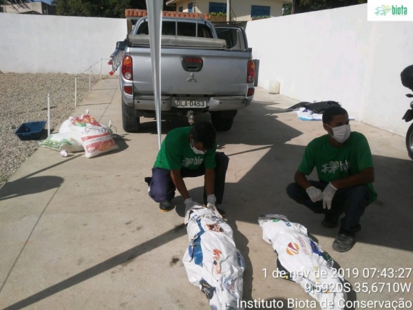 Animais mortos em praias de AL são levados para perícia da PF em Brasília