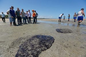 Chega a 695 número de localidades afetadas por óleo no Nordeste e ES