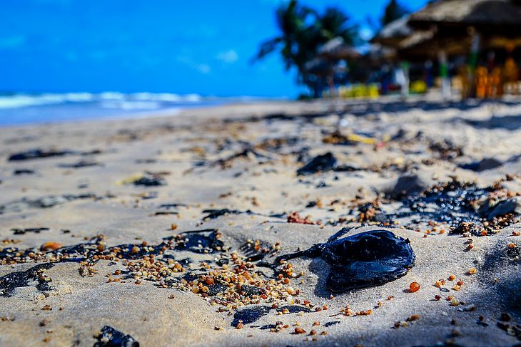 PF diz que navio grego pode ter derramado óleo encontrado no litoral do Nordeste