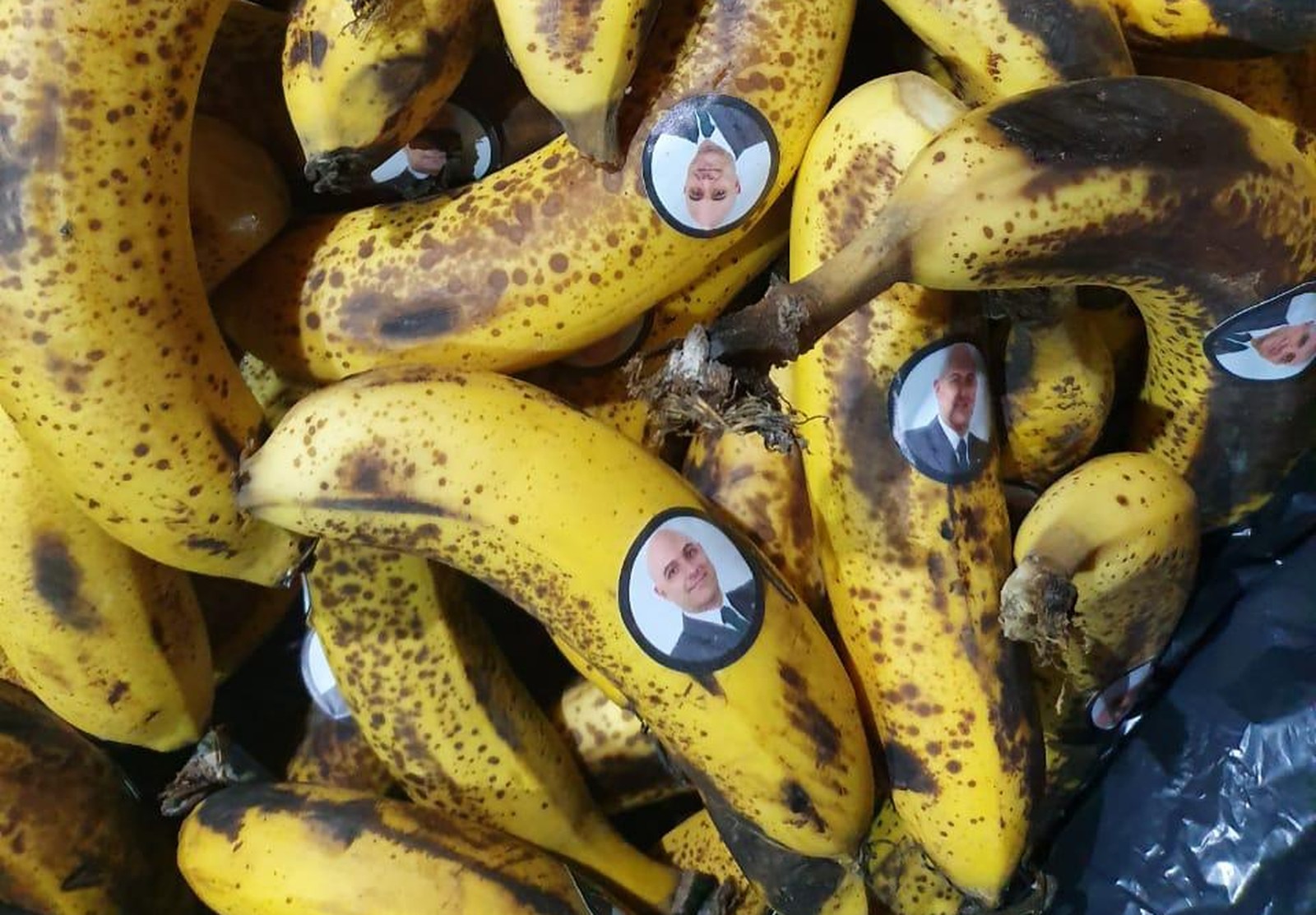 Palmeirenses protestam contra presidente do clube com bananas