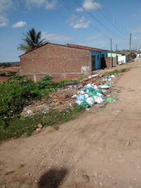Moradores de bairros afastados do centro de Palmeira dos Índios reclamam do lixo nas ruas