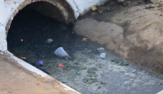 [Vídeo] Fala Comunidade: Moradores reclamam de esgoto a céu aberto em Palmeira de Fora