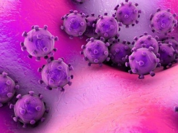 Número de suspeitos de coronavírus no Brasil cai para seis