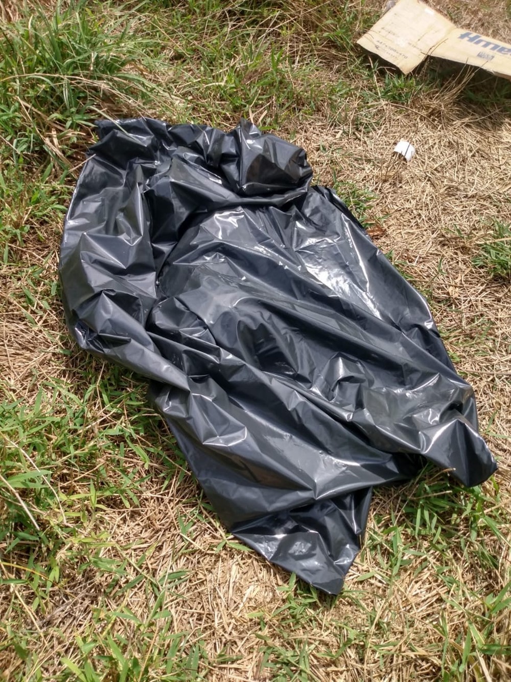 Ciclista morre após ser atropelado por carro na AL-115