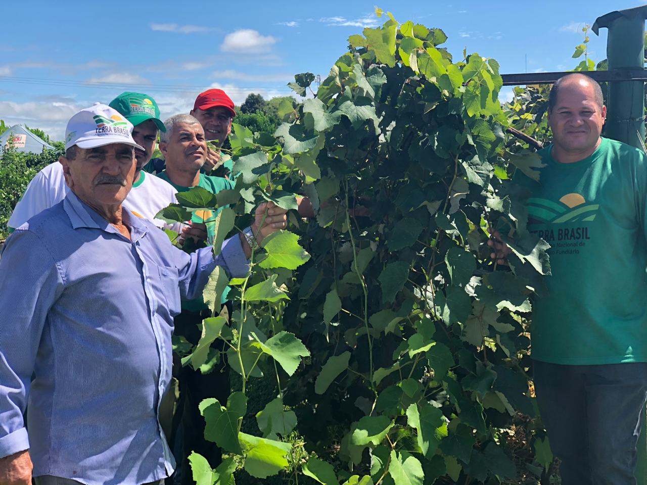 Agricultores familiares do Nordeste vão a campo conhecer novas técnicas no Show Rural 2020