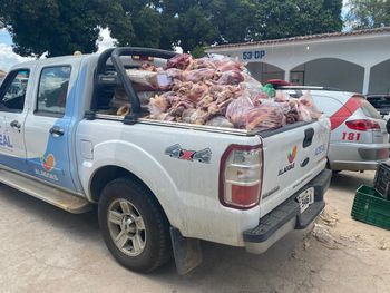 Abate clandestino que funcionava em residência é interditado em Arapiraca