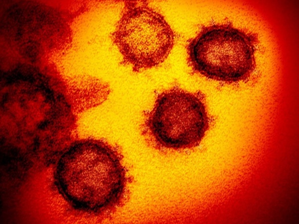 Sobe para nove número de casos suspeitos de coranavírus em Alagoas