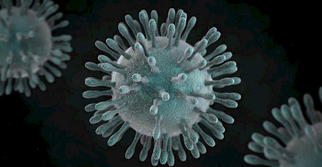 SMS informa que não existe caso confirmado de coronavírus em Palmeira