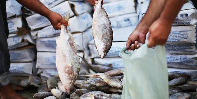 Prefeitura suspende entrega de peixes na Semana Santa, em Palmeira dos Índios